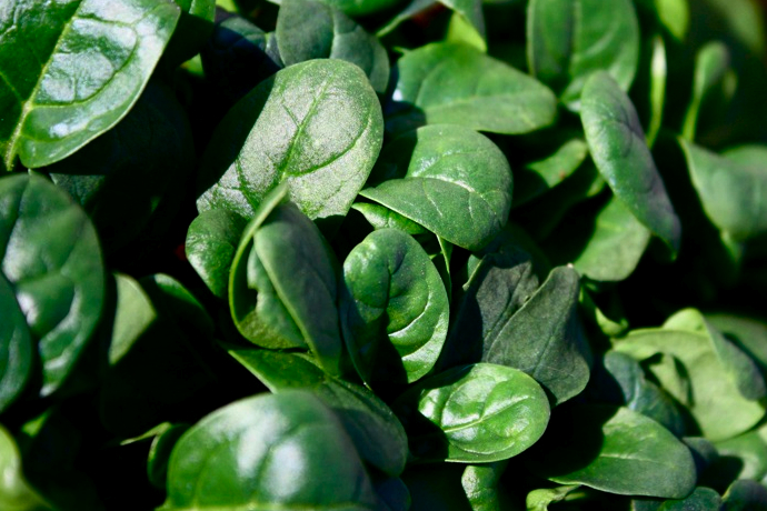 5 продуктов для улыбки и фигуры (фото 2)