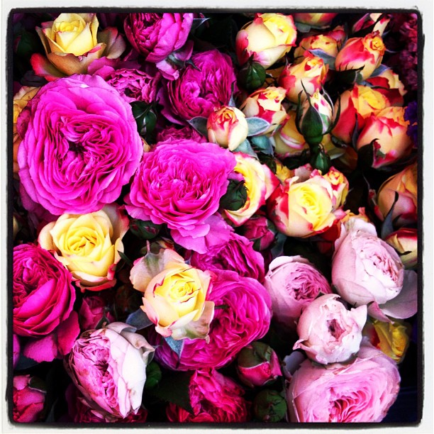 Модная Instagram-мания. Часть 17 (фото 12)