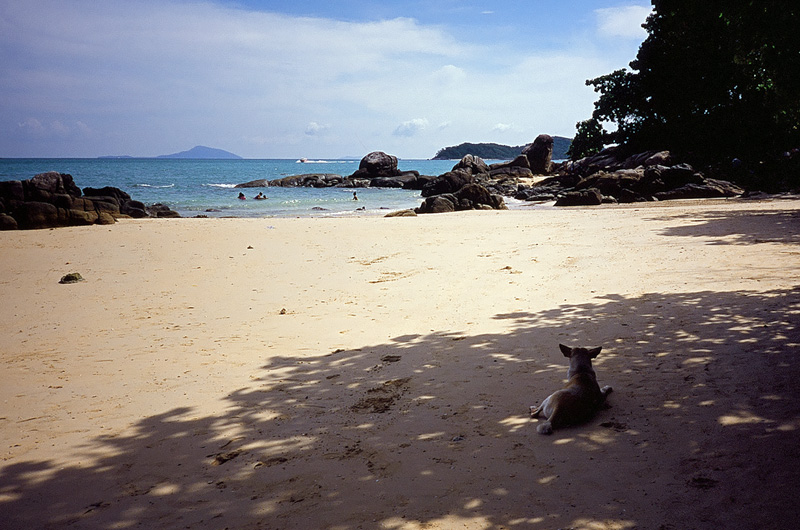 10 романтических причин поехать в Таиланд (фото 35)