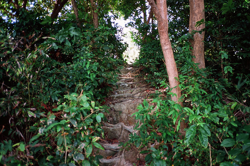 10 романтических причин поехать в Таиланд (фото 37)