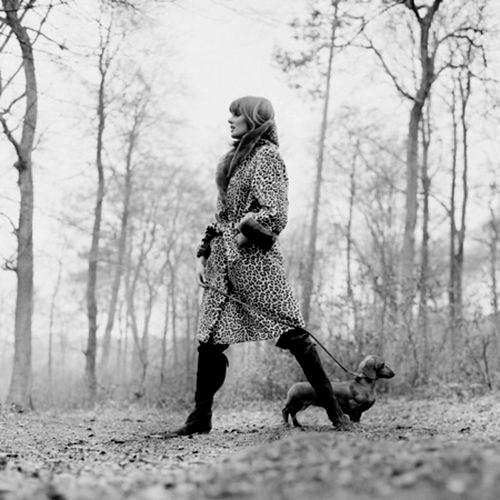 Леопардовое пальто (фото 34)