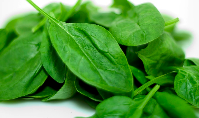 Вкусно и полезно: зеленые коктейли (фото 1)