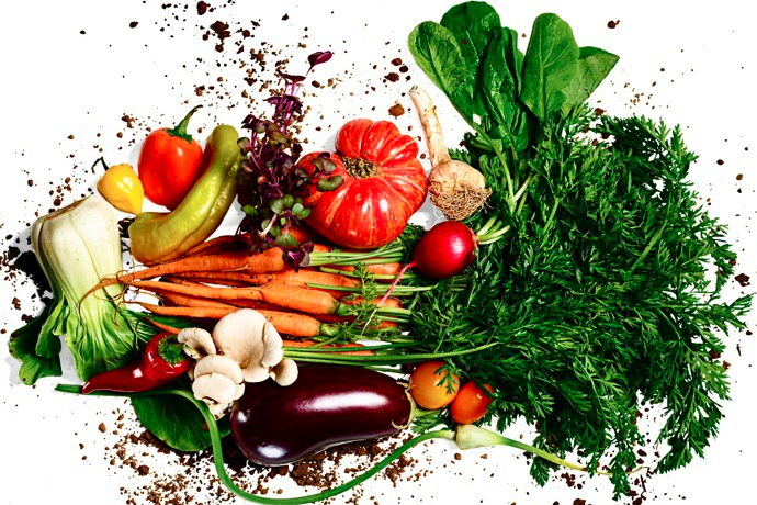 Летний режим питания (фото 2)