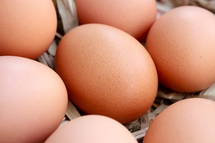 Органическое мышление (фото 2)