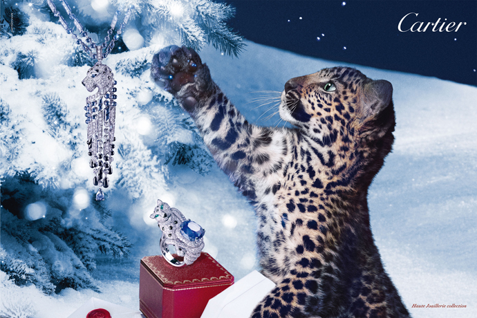 Рождественская кампания Cartier (фото 2)