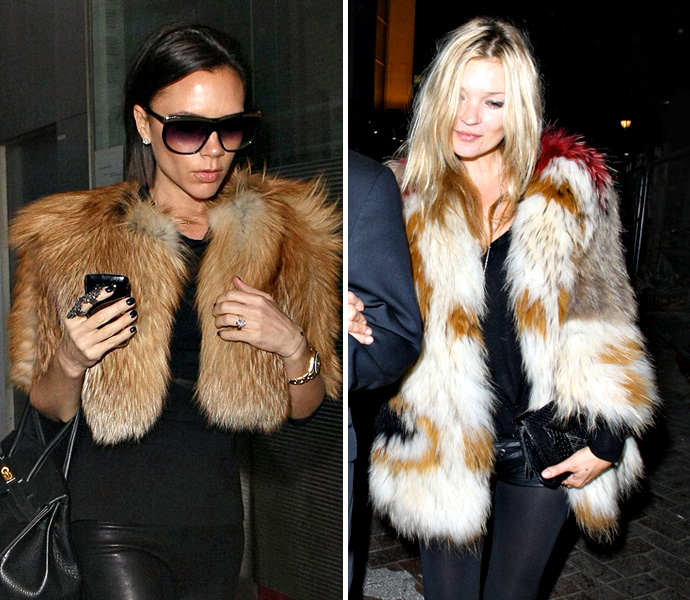 Лисий мех (фото 8)