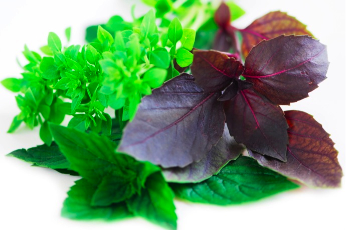 Летний режим питания (фото 3)