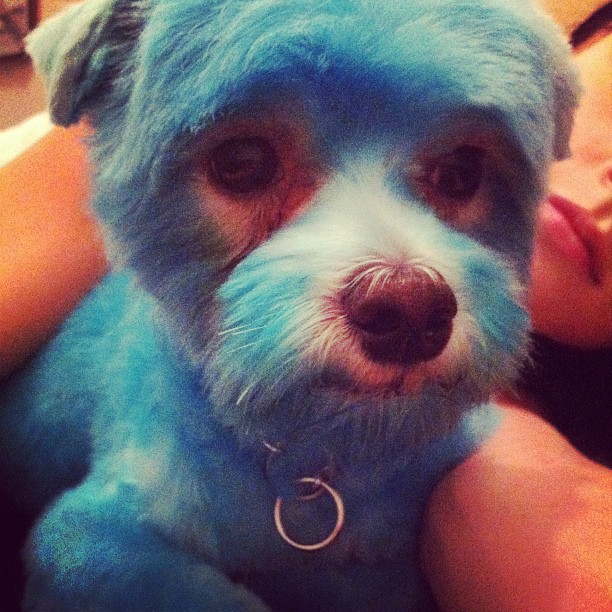 Модная Instagram-мания. Часть 16 (фото 13)