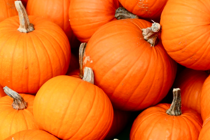 Диета для волос (фото 2)