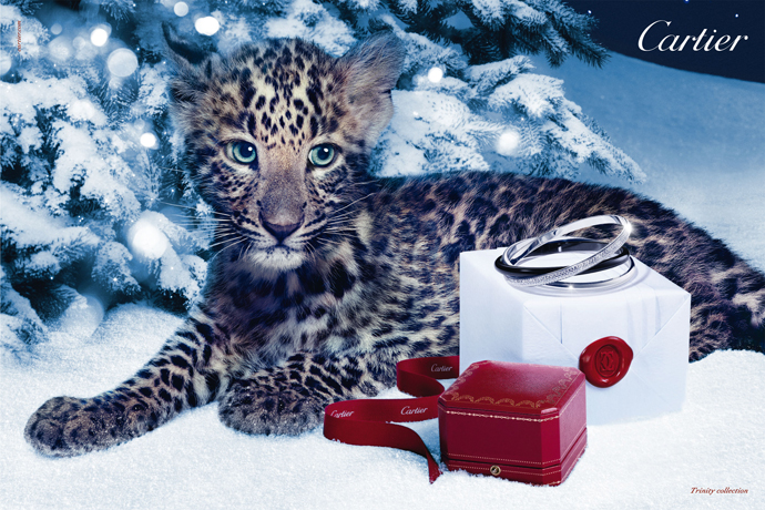 Рождественская кампания Cartier (фото 4)
