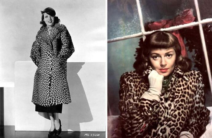 Леопардовое пальто (фото 4)
