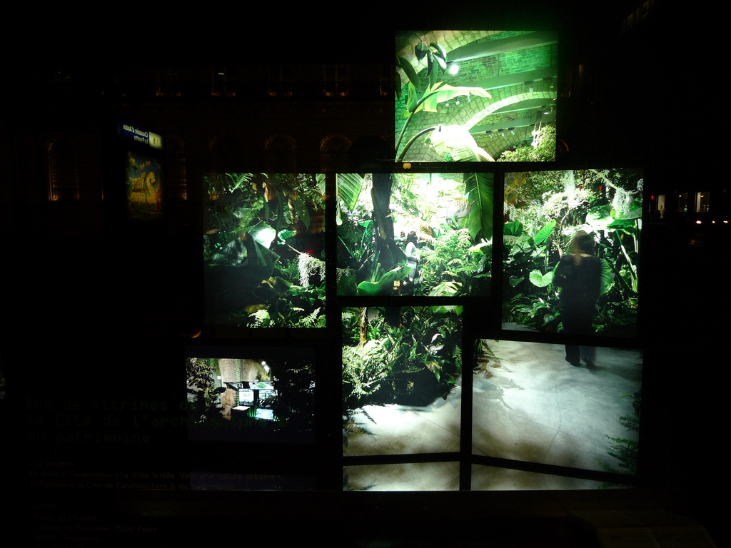 Лучшие витрины мира. Galeries Lafayette (фото 8)