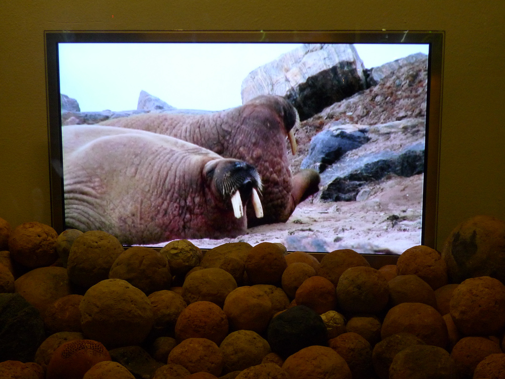 Лучшие витрины мира. Galeries Lafayette (фото 5)