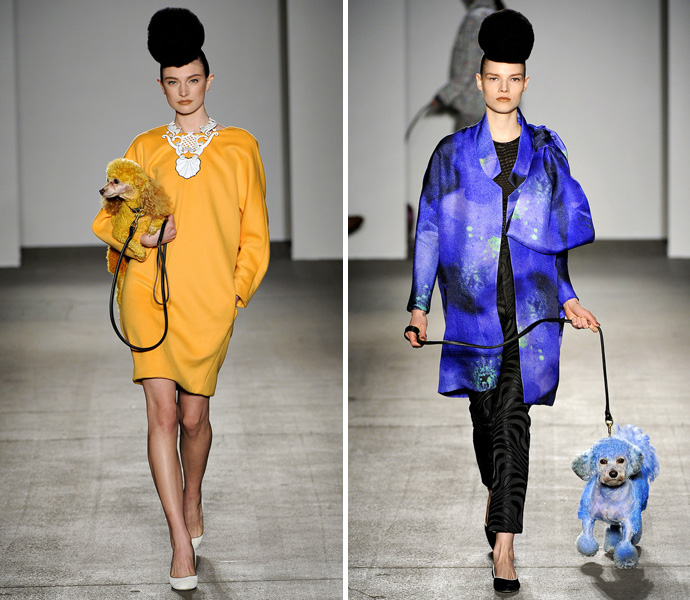 Дама с собачкой (фото 5)