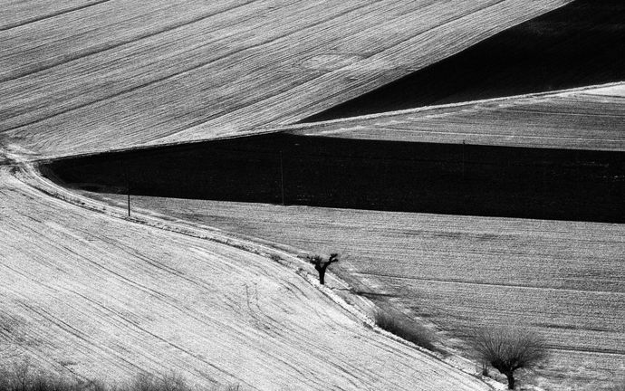 "Очарование реальностью" Элио Чиола (фото 3)