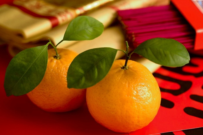 Пять летних смузи (фото 5)