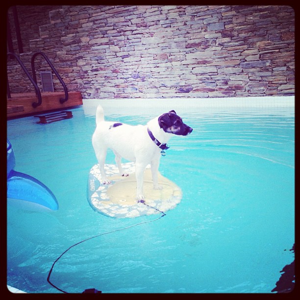 Модная Instagram-мания. Часть 9 (фото 15)