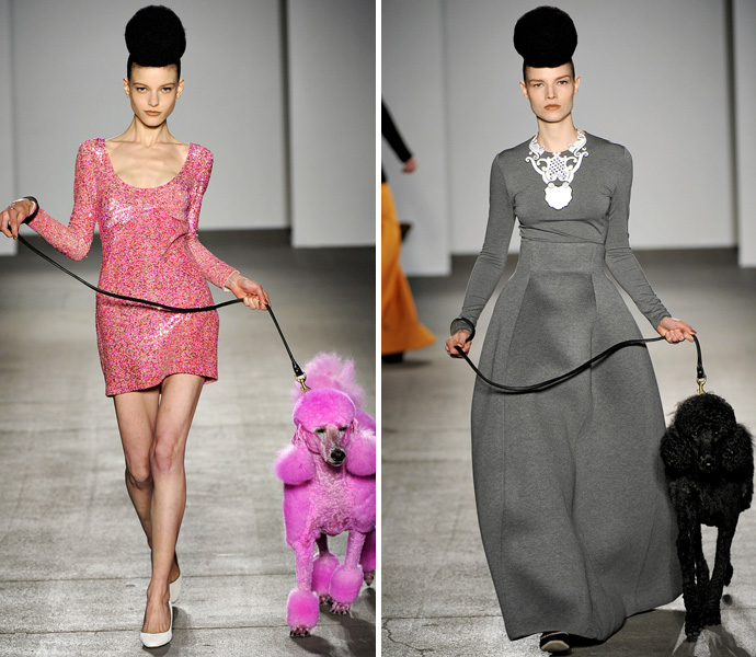 Дама с собачкой (фото 6)