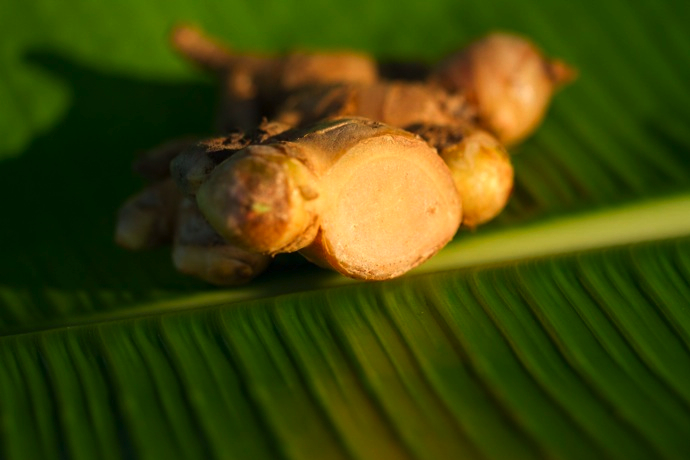 Взгляд изнутри: мадагаскарские бьюти-экспедиции Chanel (фото 5)