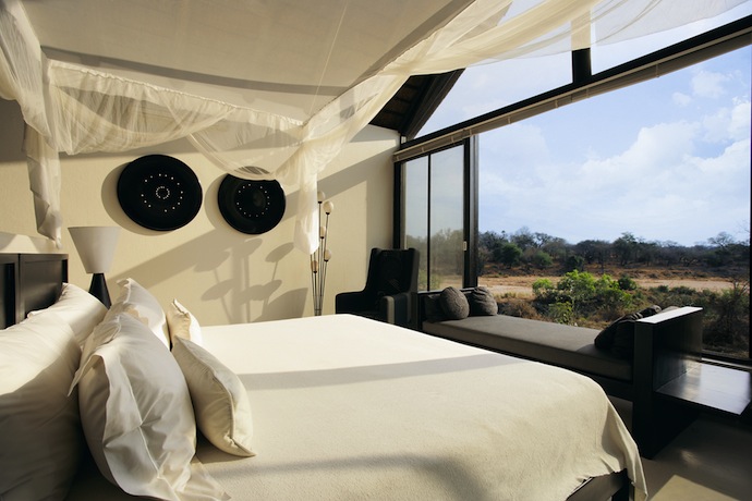 Сафари в Южной Африке (фото 12)