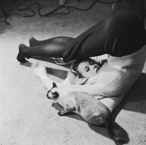 Уметь летать (фото 3)