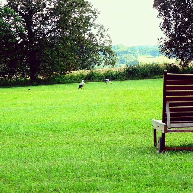 5 вещей, которые мы узнали на эко-ферме (фото 5)