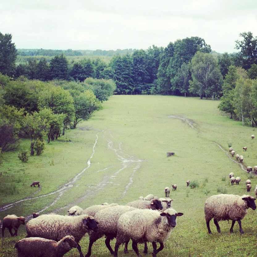 5 перемен в питании в вашу пользу (фото 2)