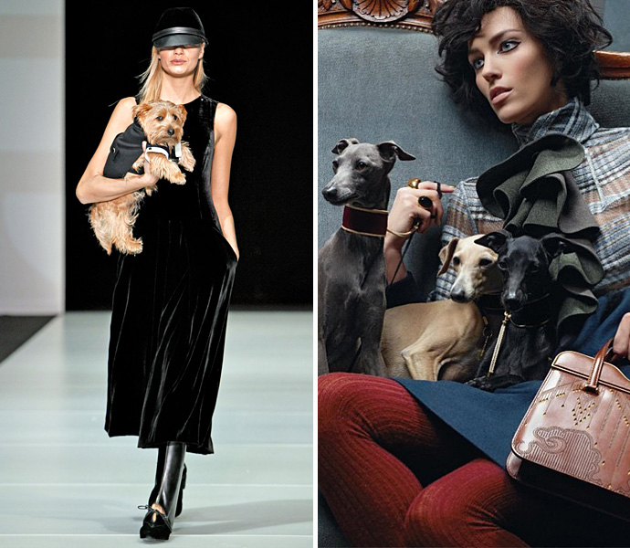 Дама с собачкой (фото 7)