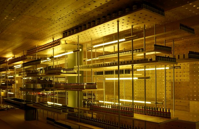 Концептуальные магазины Aesop (фото 8)