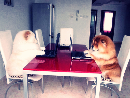 5 цитат месяца (фото 4)