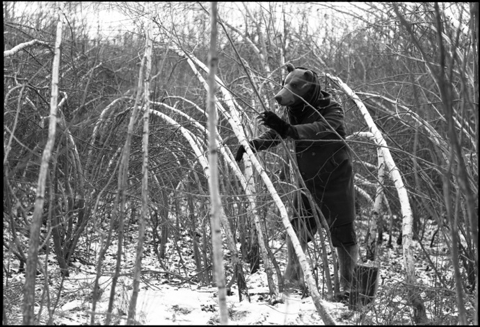 "Египетская стая" в галерее "Победа" (фото 7)