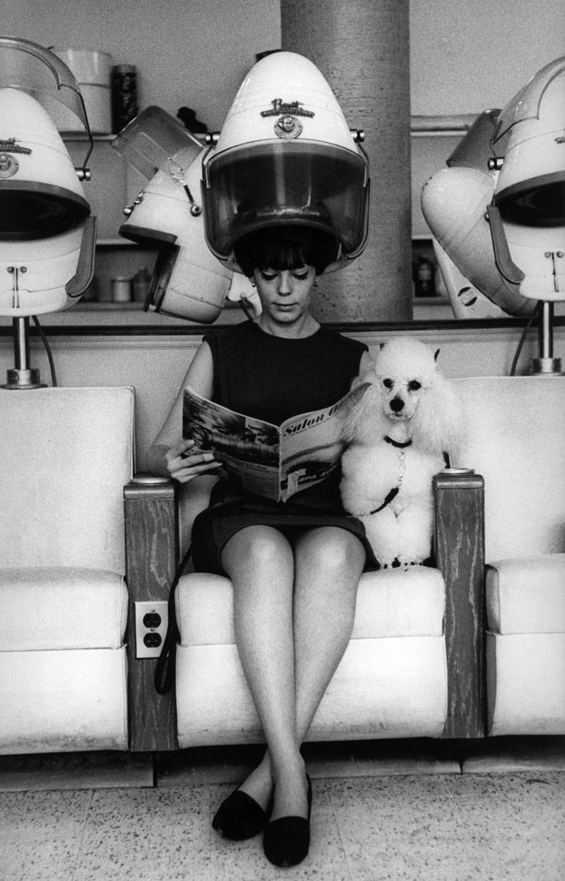 Фотографии Стива Шапиро выставят в Москве (фото 6)