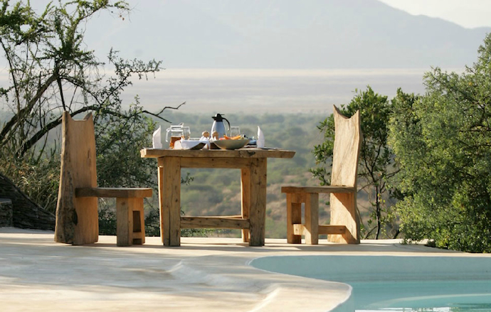 Роскошный отдых в африканской саванне (фото 6)