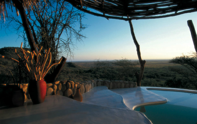 Роскошный отдых в африканской саванне (фото 7)