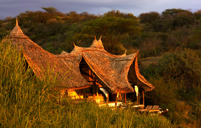 Роскошный отдых в африканской саванне (фото 10)