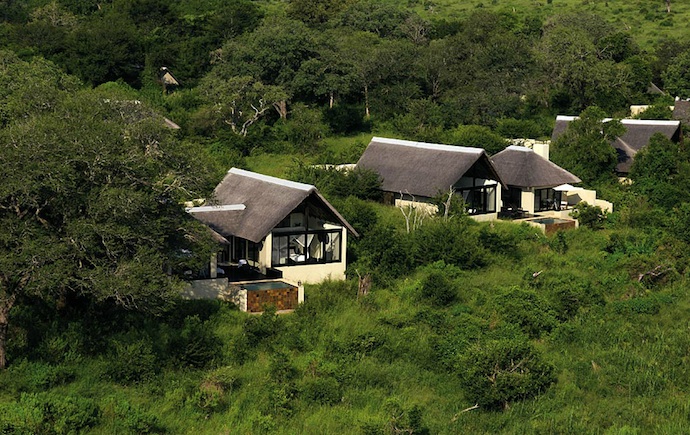 Сафари в Южной Африке (фото 3)