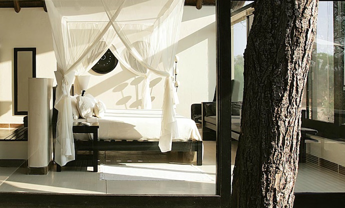 Сафари в Южной Африке (фото 8)