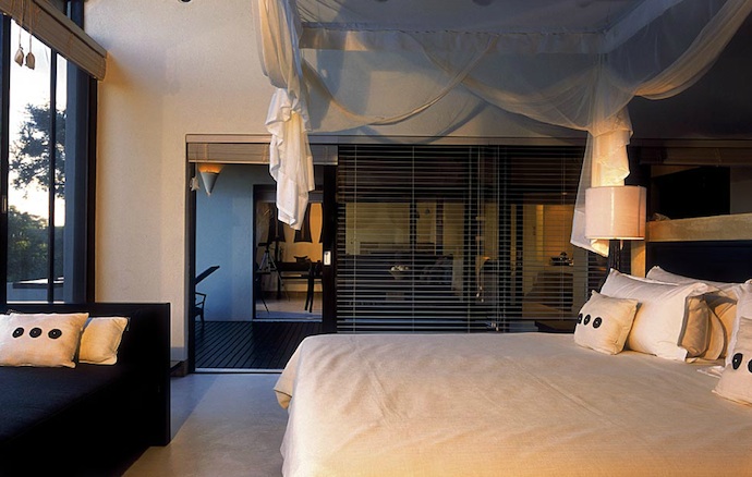 Сафари в Южной Африке (фото 9)