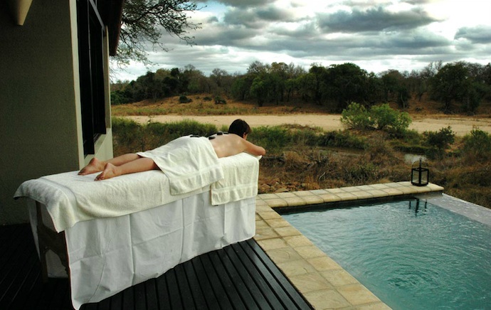 Сафари в Южной Африке (фото 16)