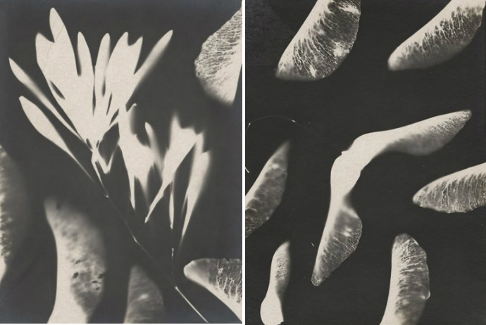 Винтажные русские фото выставили в Нью-Йорке (фото 6)