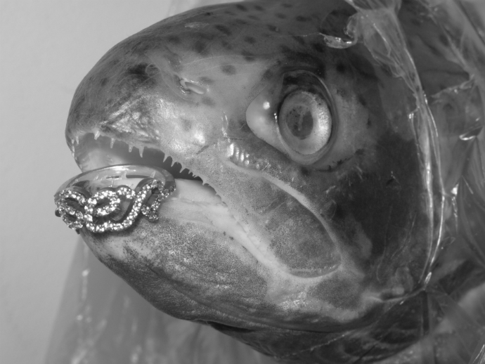 Redd's о модных провокациях (фото 5)