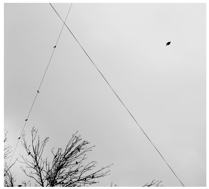 "Небографика" Максима Ксуты (фото 4)