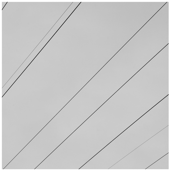 "Небографика" Максима Ксуты (фото 5)