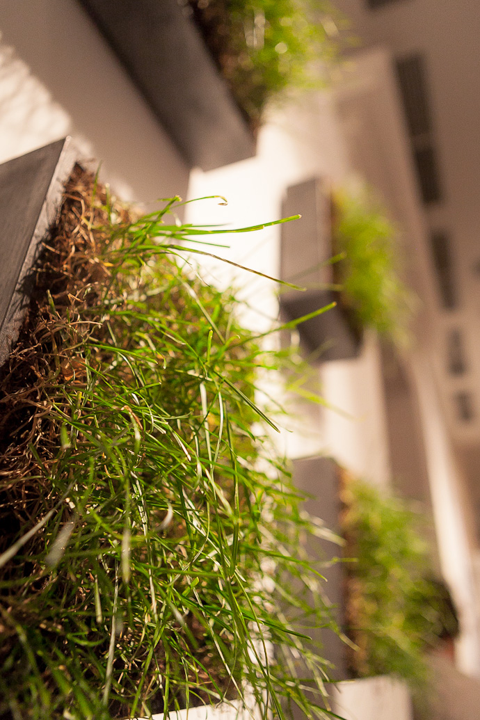 Молодое искусство в ММОМА (фото 37)