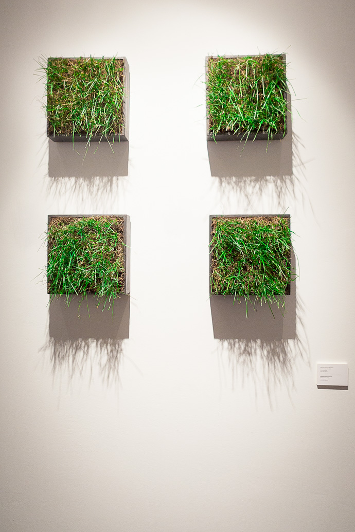 Молодое искусство в ММОМА (фото 38)