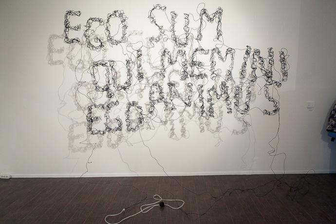 Молодое искусство в ММОМА (фото 7)