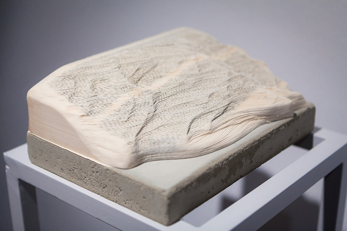 Молодое искусство в ММОМА (фото 21)