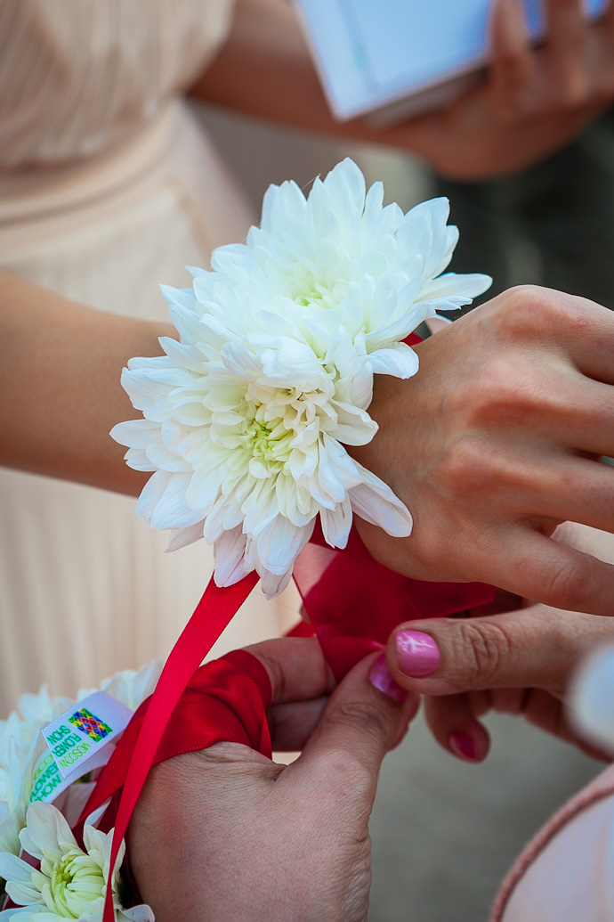 Moscow Flower Show 2012 (фото 27)