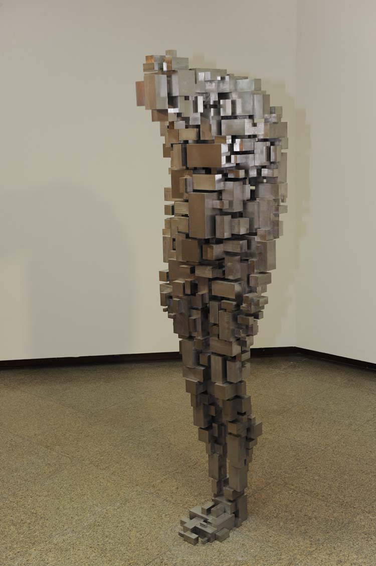 Энтони Гормли в Бразилии (фото 1)