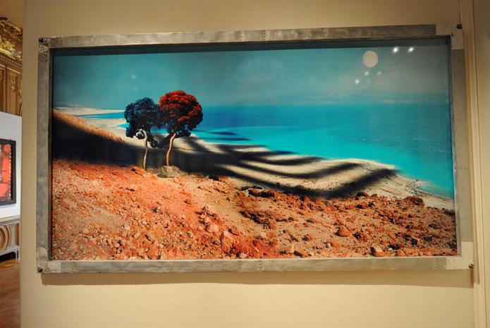 Фантазия киберреалиста (фото 3)